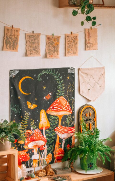 How to Embrace the Mushroom Decor Trend